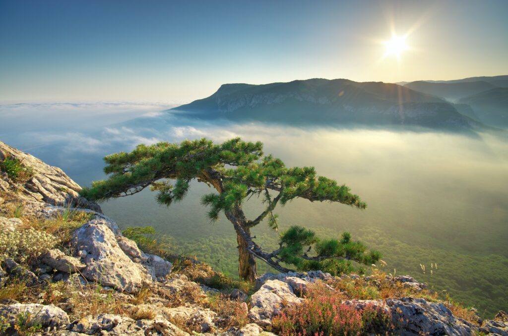 Mountain landscape