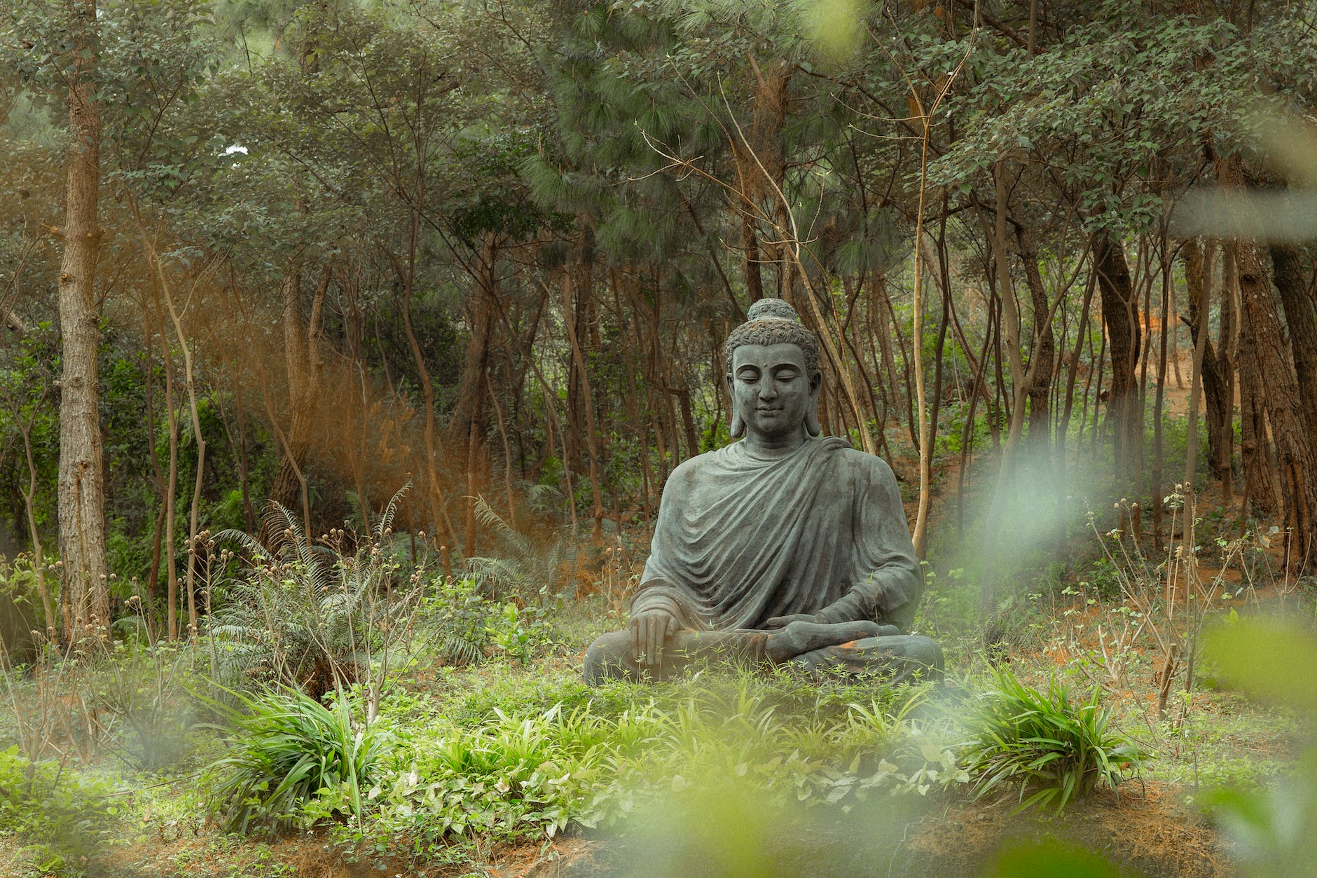 meditating buddha stature in nature